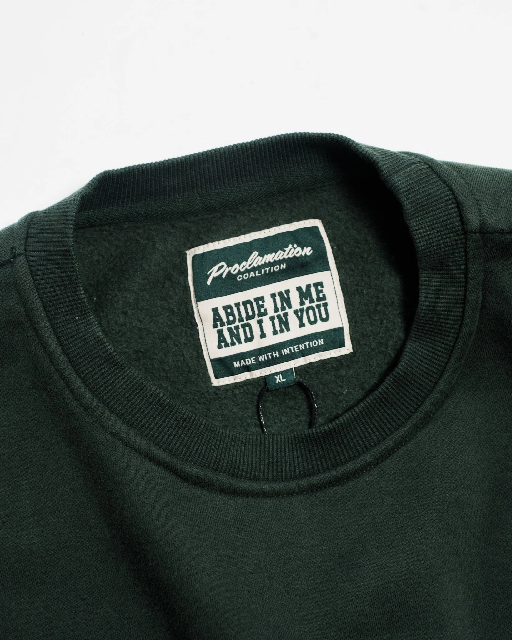 "Abide" Pine Comfort Crewneck - Image 12