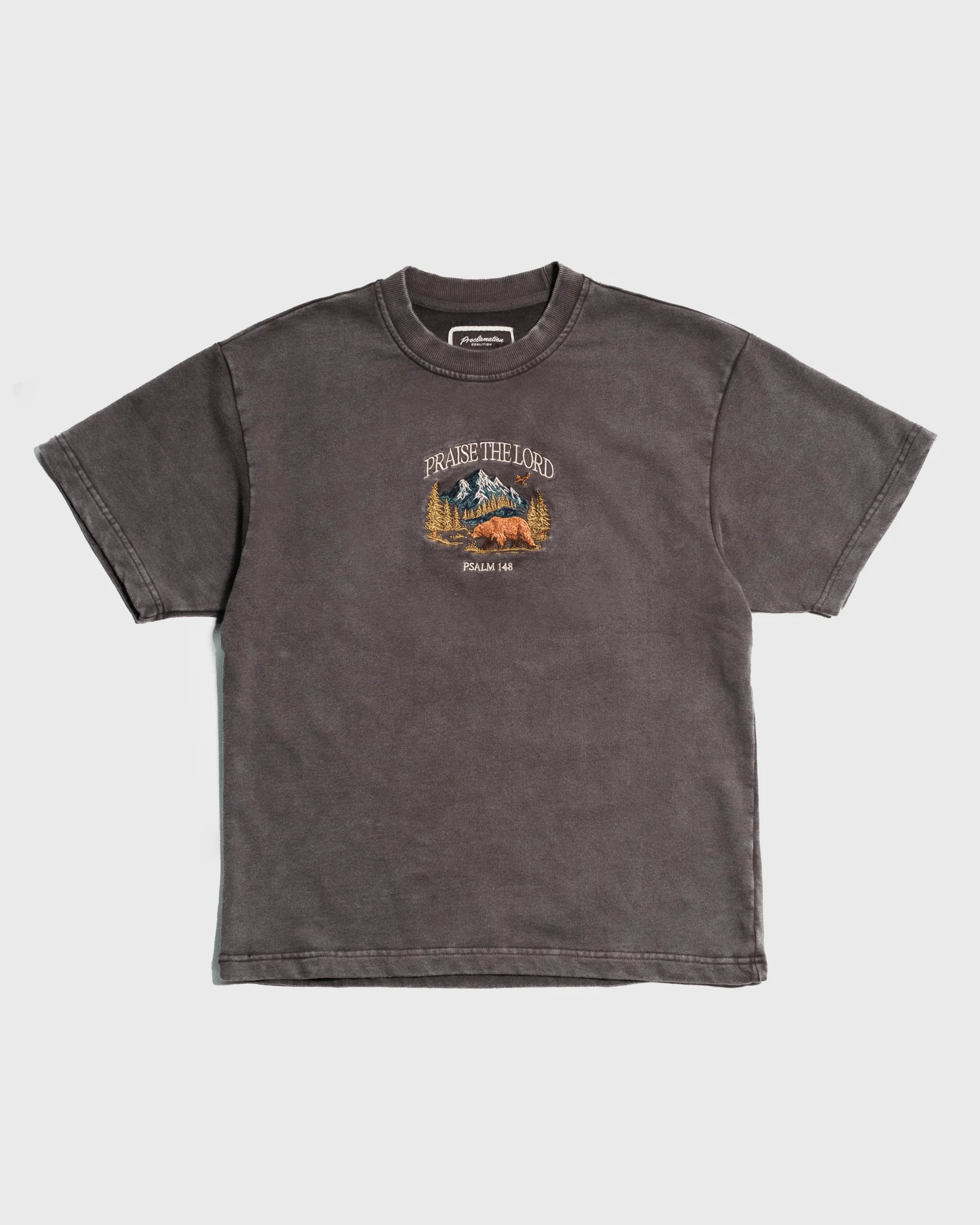 "All Creation PTL" Espresso Heavyweight+ Tee - Image 7