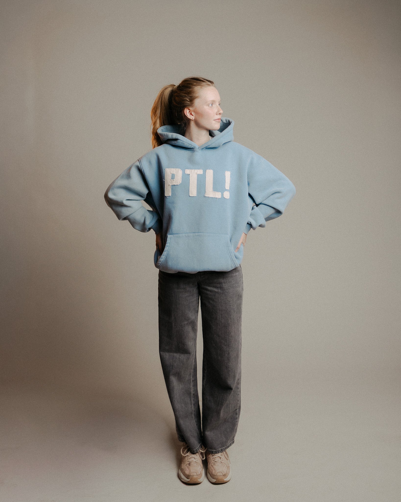 "Praise the Lord!" Comfort Hoodie - Image 5